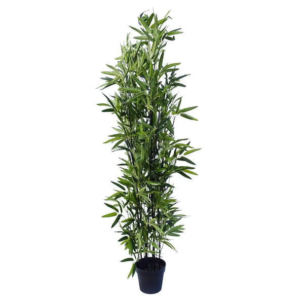 Artificial Bamboo Black Bamboo 180cm Real Touch Leaves Deals499