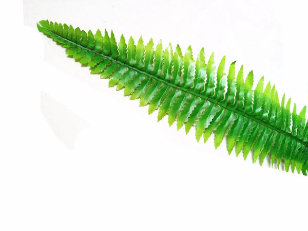 Artificial Boston Hanging Fern 102cm Deals499