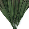 Artificial Brown Tipped Grass Plant 35cm Deals499