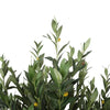 Artificial Bushy Olive Tree with Olives 180cm Deals499