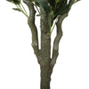 Artificial Bushy Olive Tree with Olives 180cm Deals499