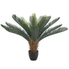 Artificial Cyac (Cycad) Plant 60cm Deals499