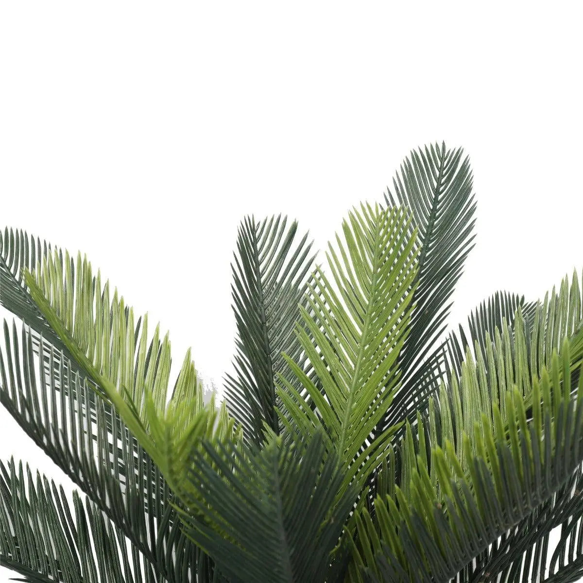 Artificial Cyac (Cycad) Plant 60cm Deals499