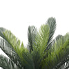 Artificial Cyac (Cycad) Plant 60cm Deals499