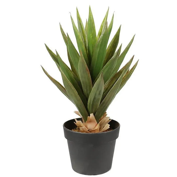Artificial Dense Potted Aloe Vera Plant 50 cm Deals499