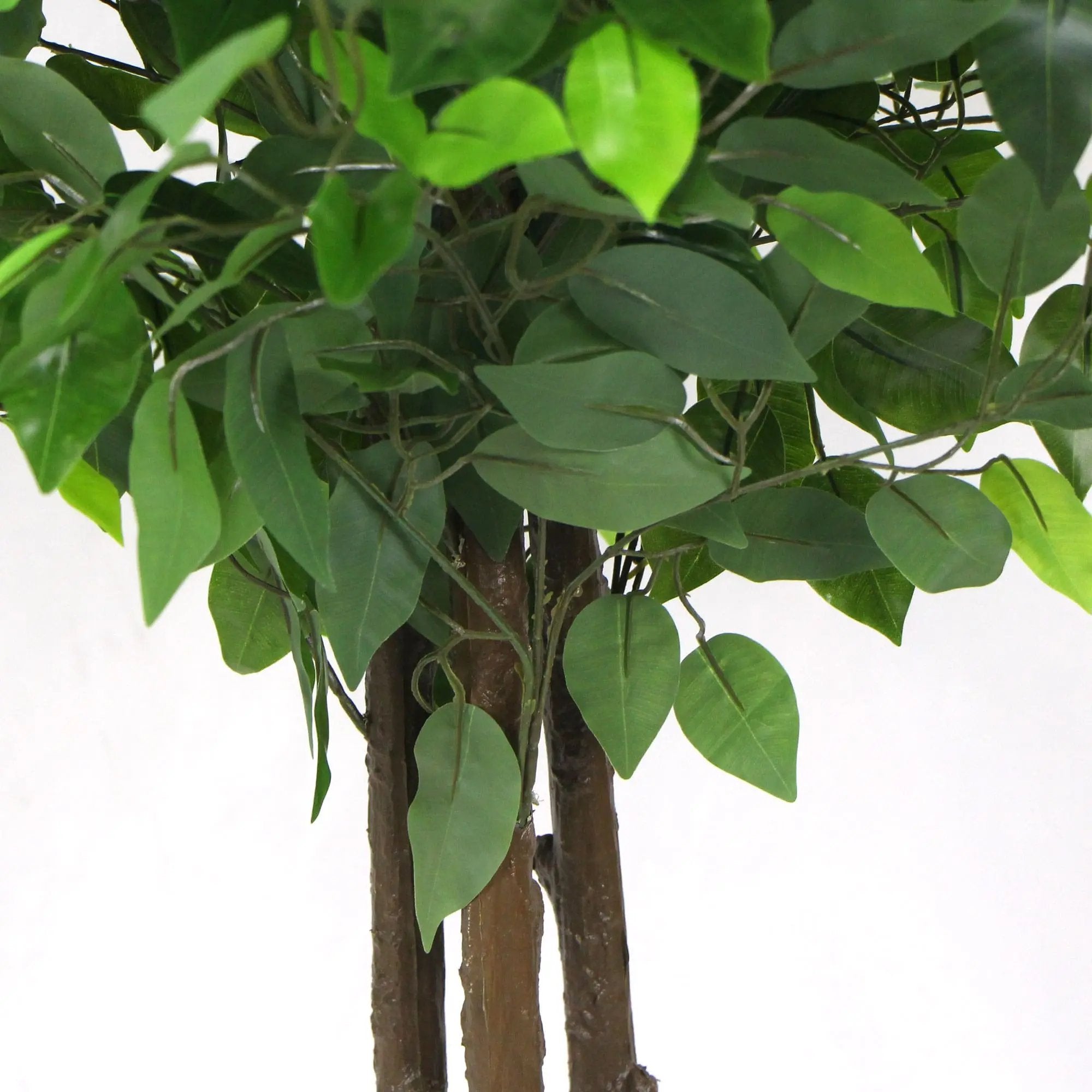 Artificial Ficus Tree 180cm Nearly Natural UV Resistant Deals499
