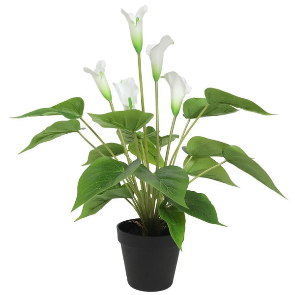 Artificial Flowering White Peace Lily / Calla Lily Plant 50cm Deals499