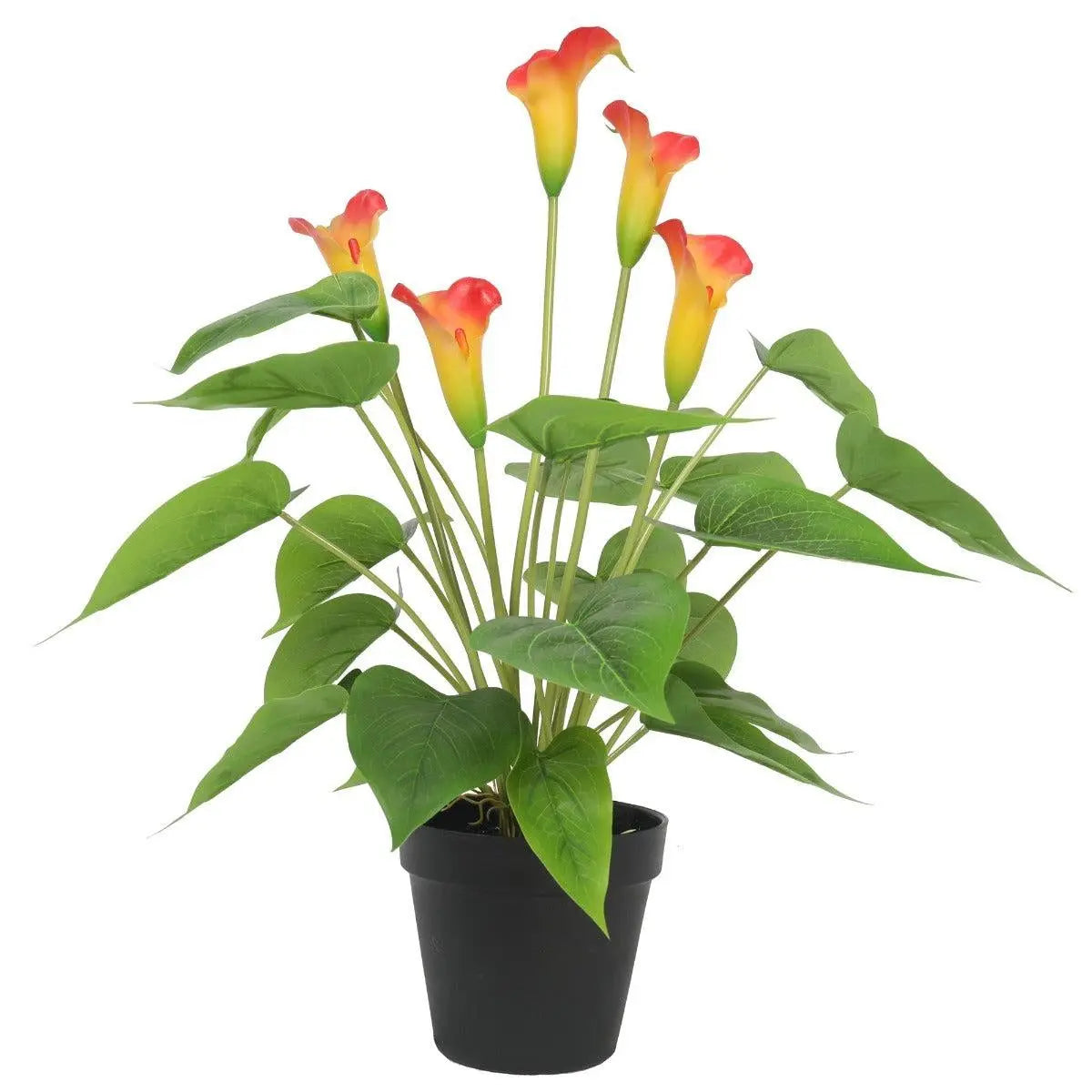 Artificial Flowering White & Orange Peace Lily / Calla Lily Plant 50cm Deals499