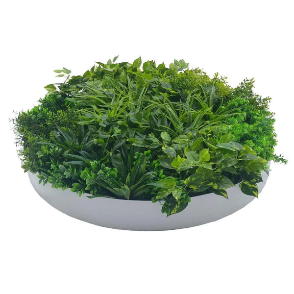 Artificial Green Wall Disc Art 100cm Dark Aloe Vera (Fresh White) Deals499