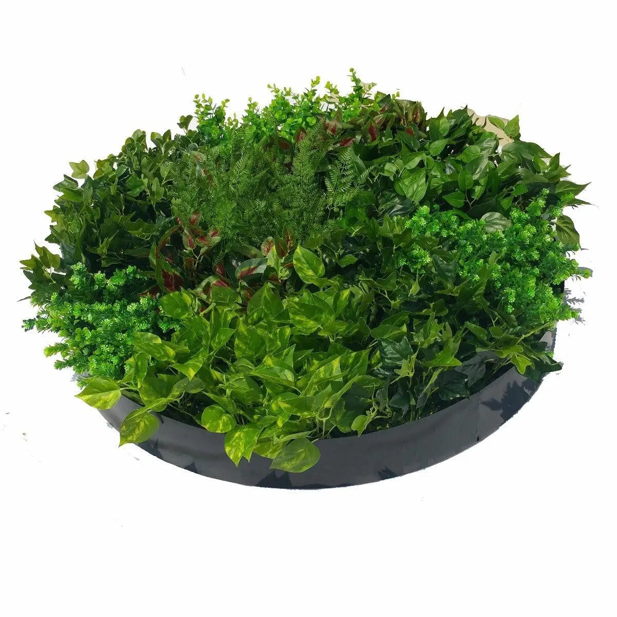 Artificial Green Wall Disk Art 100cm - Mixed Ivy And Fern Deals499