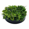 Artificial Green Wall Disk Art 60cm - Philodendron Deals499