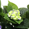 Artificial Hydrangea 74cm - Mixed Purples And Yellows Deals499