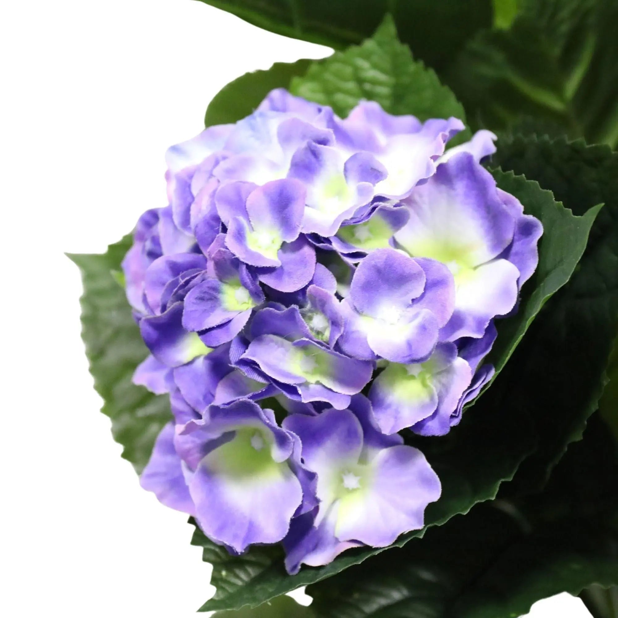 Artificial Hydrangea 74cm - Mixed Purples And Yellows Deals499