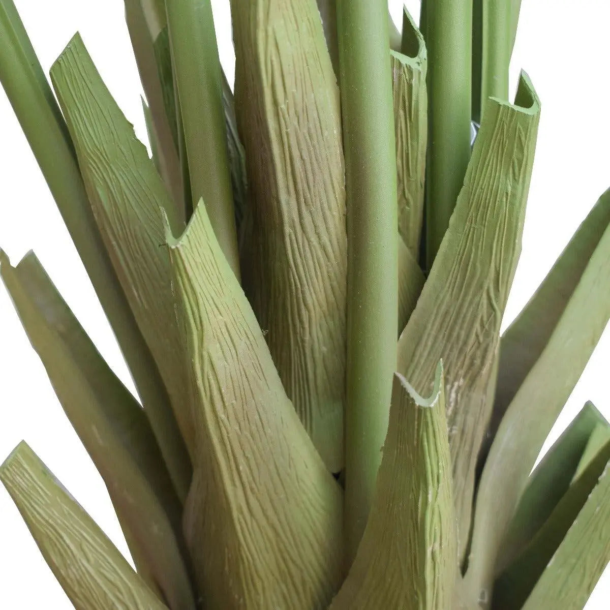 Artificial Multi Stem Hawaii Palm 190cm Deals499