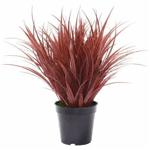 Artificial Ornamental Potted Dense Burgundy Grass 38 cm Deals499