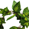 Artificial Pothos / Ivy Hanging Vines 260cm Each (5 pack) Deals499
