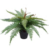 Artificial Potted Fishtail Fern 55cm Deals499