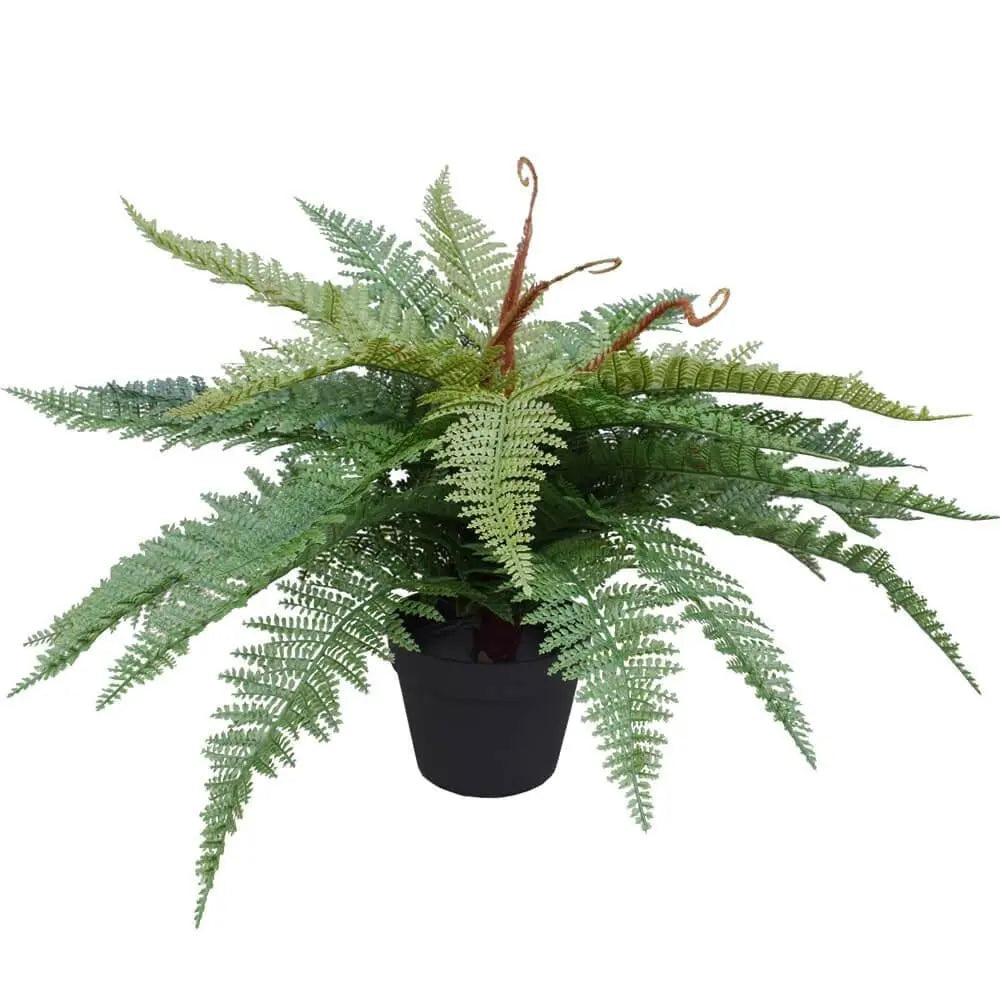Artificial Potted Fishtail Fern 55cm Deals499