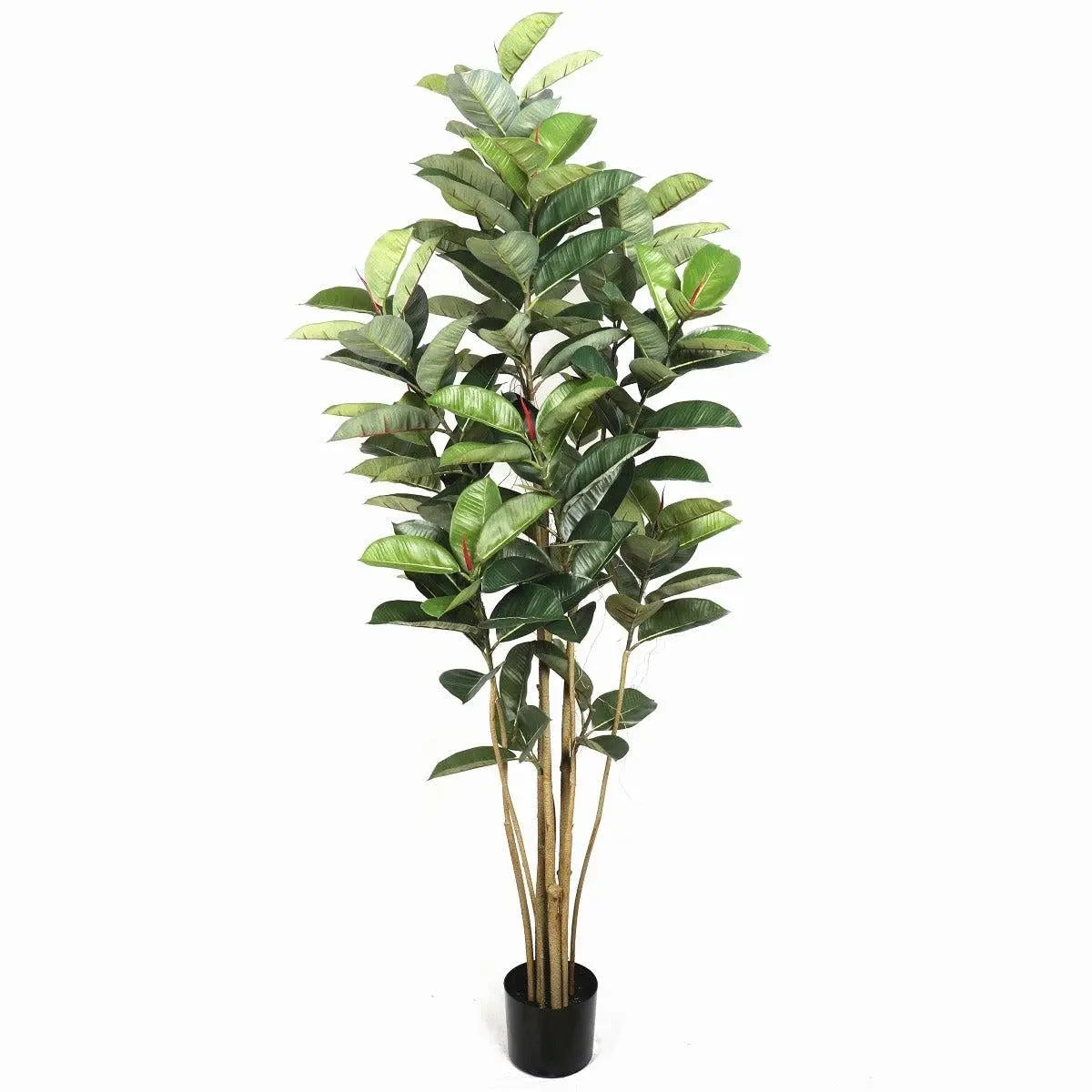 Artificial Potted Oak Tree 180cm Deals499