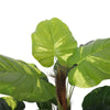 Artificial Potted Pothos Plant with Pole 100cm Deals499