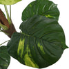Artificial Potted Pothos Plant with Pole 100cm Deals499