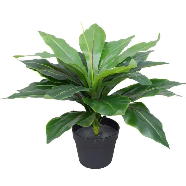 Artificial Potted Wide Leaf Birds Nest Fern 50cm Deals499