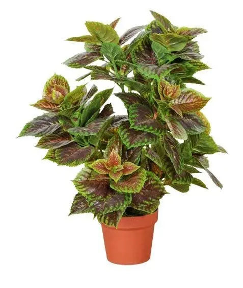 Artificial Purple Perilla 70cm Deals499