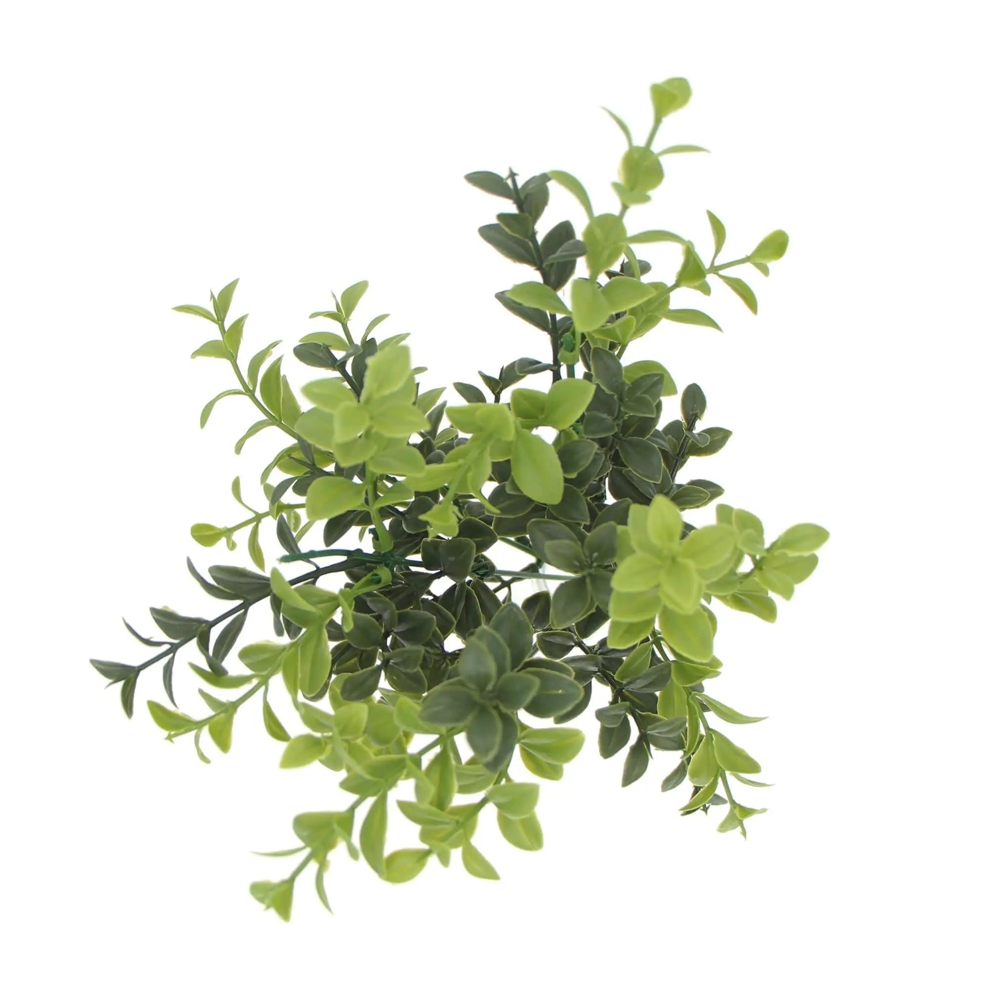 Artificial Rounded Boxwood Stem UV 30cm Deals499