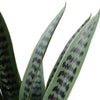 Artificial Snake Plant UV Resistant 60cm Deals499
