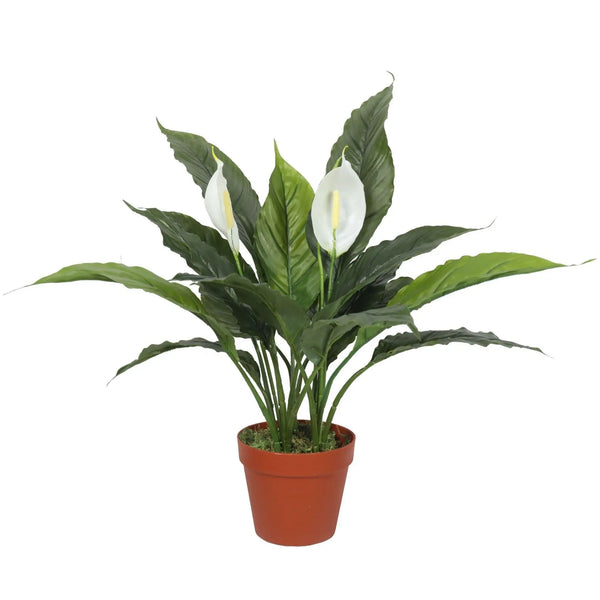 Artificial Spathiphyllum Peace Lily Plant with White Flowers 60cm Deals499