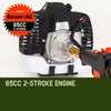 Baumr-AG 65CC Petrol Pole Chainsaw Chain Saw Pruner Pro Arbor Tree Tool Cutter Deals499