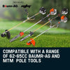 Baumr-AG Replacement Engine Motor for Pole Tool Chainsaw Brushcutter Trimmer Brush Cutter Deals499