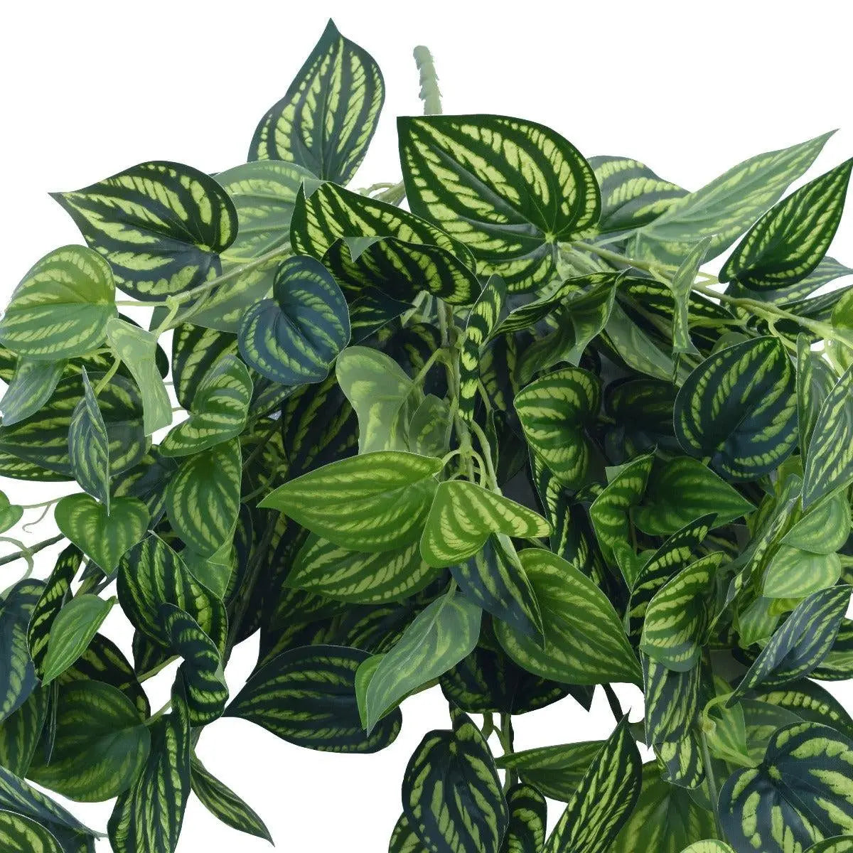 Bright Mixed Philodendron Garland Bush 100cm Deals499