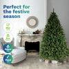 Christmas By Sas 1.8m Pine Christmas Tree 550 Tips Full Figured Easy Assembly Deals499