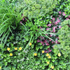 Country Fern Vertical Garden Green Wall UV Resistant 100cm x 100cm Deals499