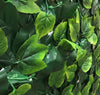 Country Oak Artificial Vertical Garden Hedge Panel 1m x 1m Deals499