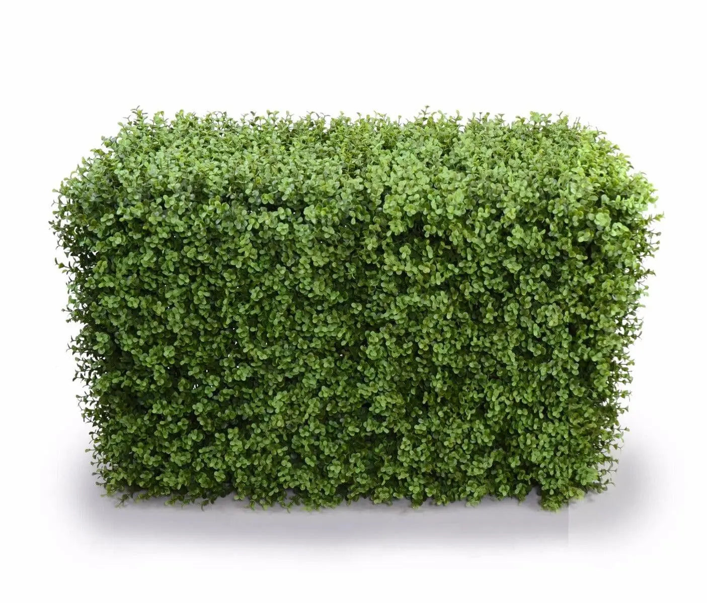 Deluxe Portable Buxus Hedges UV Stabilised 100cm Long X 55cm High Deals499