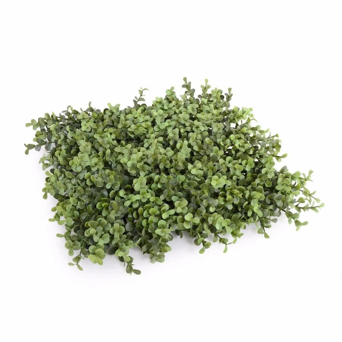 Deluxe Portable Buxus Hedges UV Stabilised 100cm Long X 55cm High Deals499