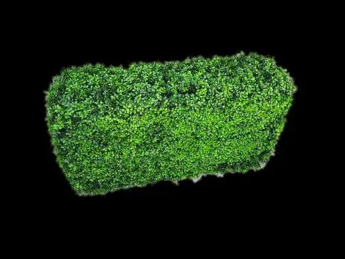 Deluxe Portable Buxus (Bright) UV Resistant 100cm Long x 50cm High x 25cm Wide Deals499
