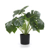 Dense Potted Artificial Split Philodendron Plant With Real Touch Leaves 50cm Deals499