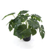 Dense Potted Artificial Split Philodendron Plant With Real Touch Leaves 50cm Deals499