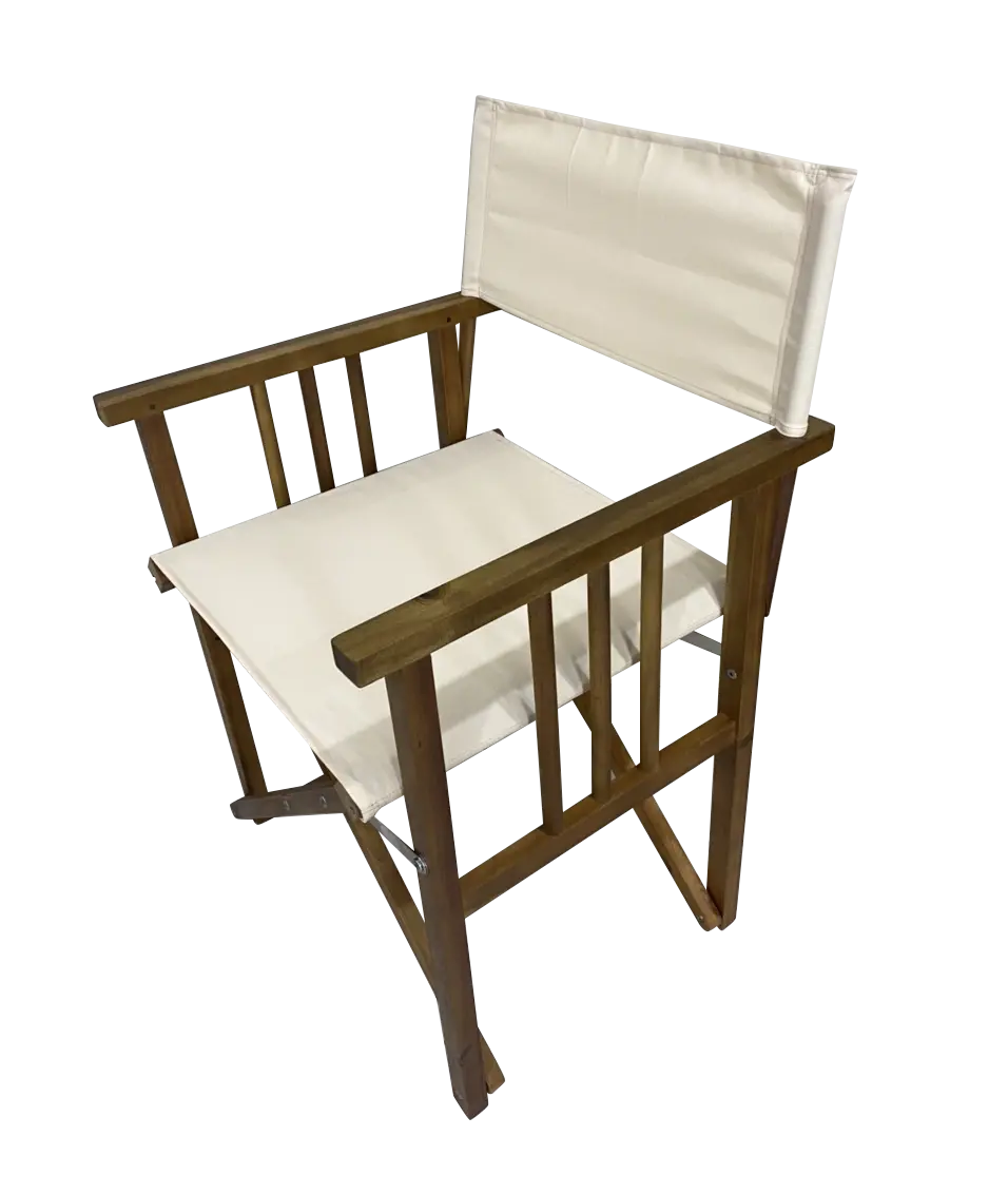 Directors Chair Deals499