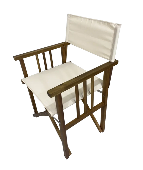 Directors Chair Deals499