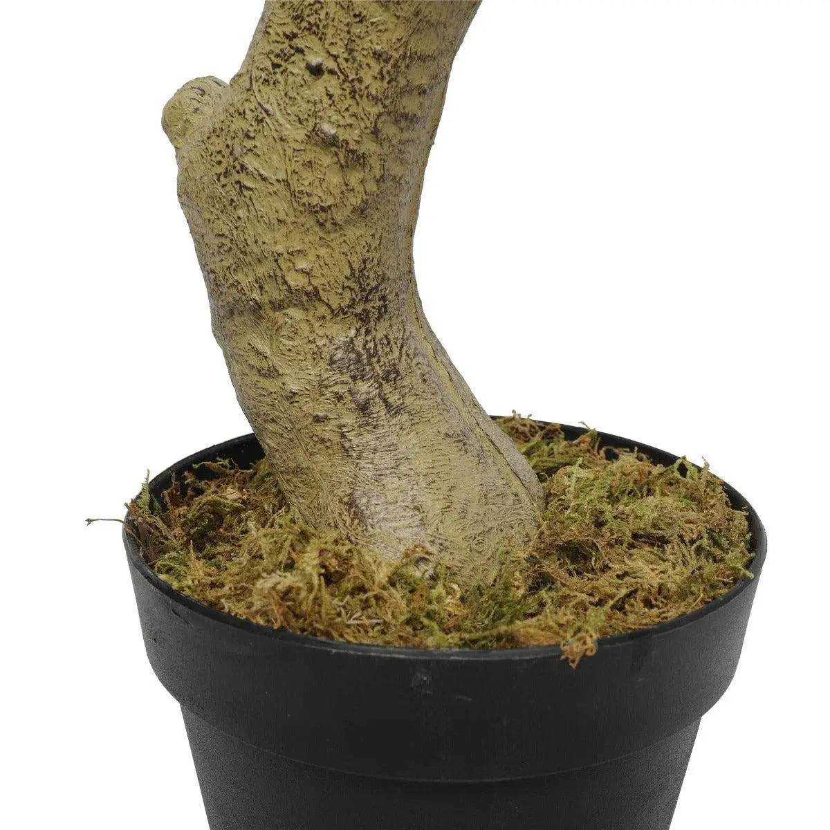 Faux White Flowering Magnolia Tree with Pot 130cm Deals499