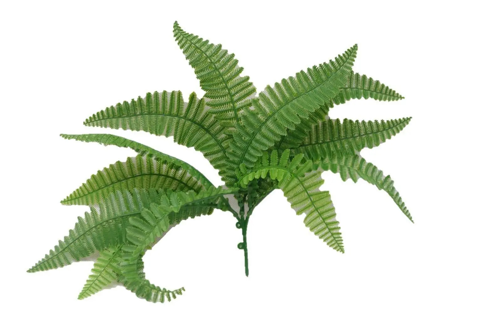 Fern Stem UV Deals499