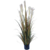 Flowering Native Fox Tail Grass 120 cm Deals499