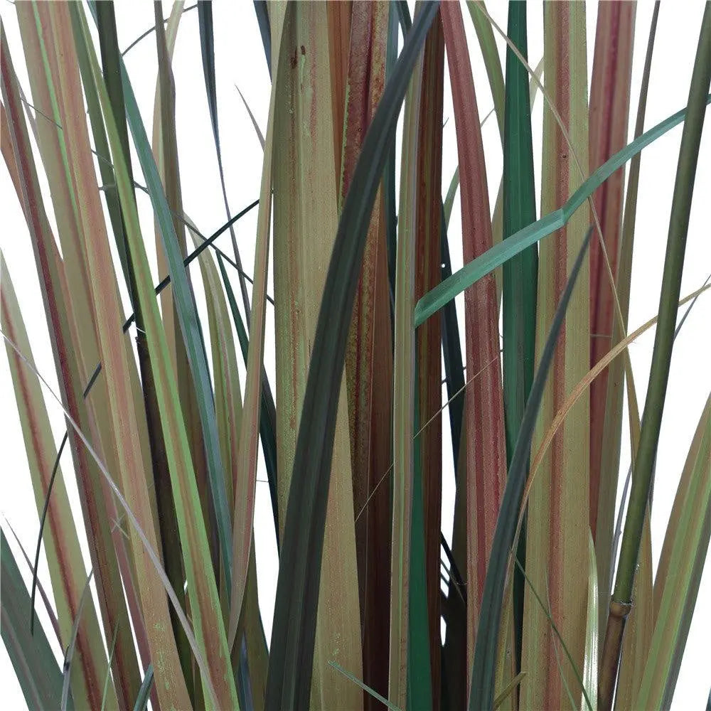 Flowering Native Fox Tail Grass 120 cm Deals499