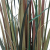 Flowering Native Fox Tail Grass 120 cm Deals499