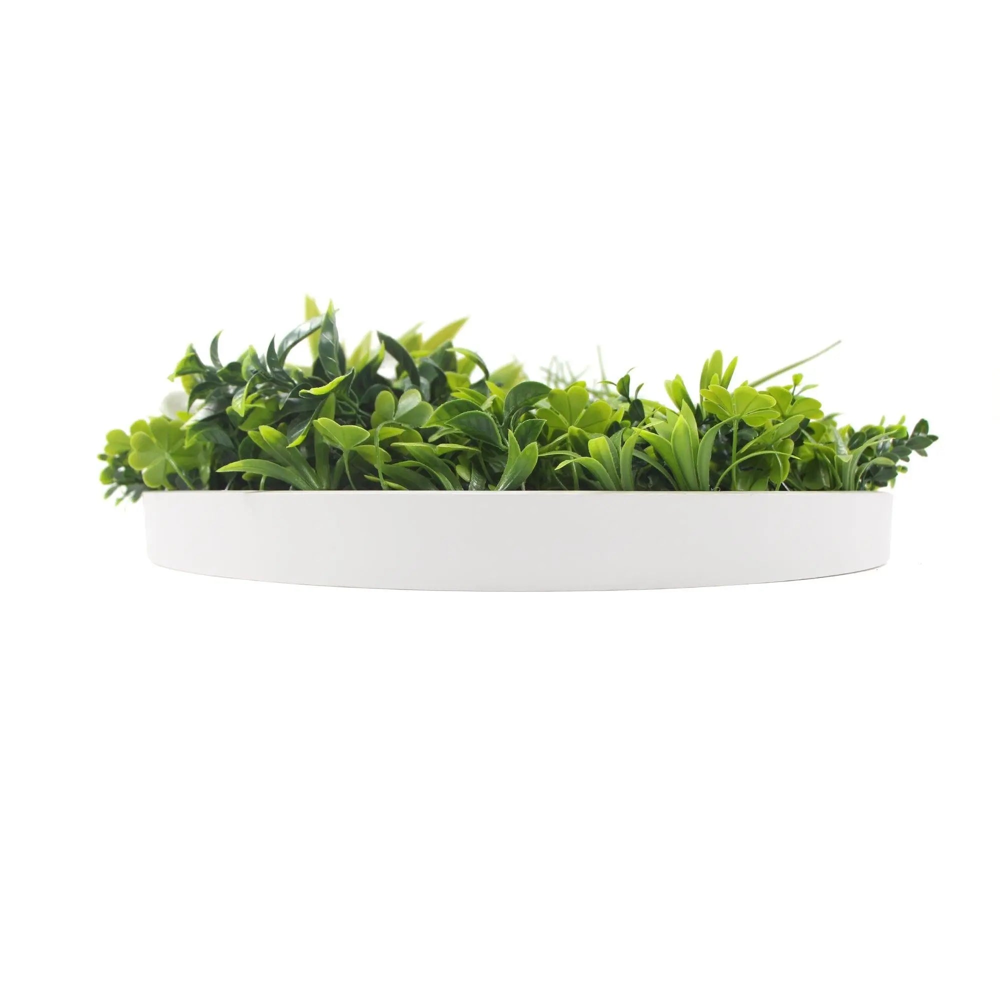 Flowering White Artificial Green Wall Disc UV Resistant 100cm (White Frame) Deals499