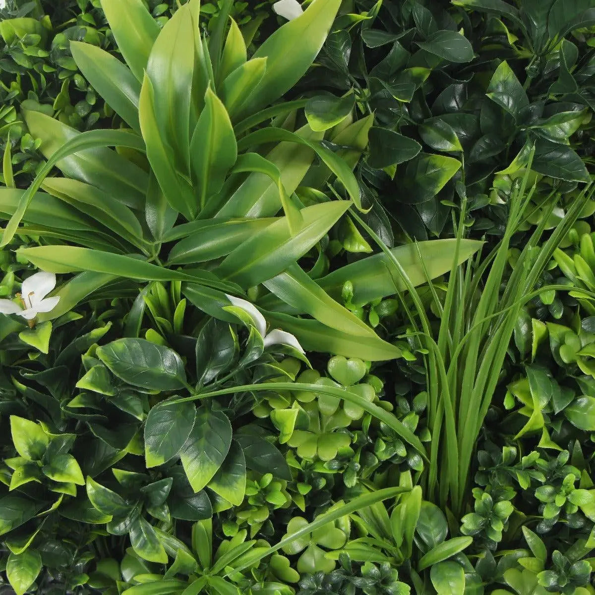Flowering White Artificial Green Wall Disc UV Resistant 50cm (Black Frame) Deals499